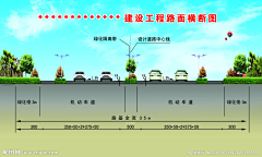 芸~采集到道路绿化