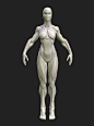 Stylized Female Blockout v1