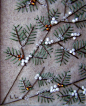 lovely stitched pine branches