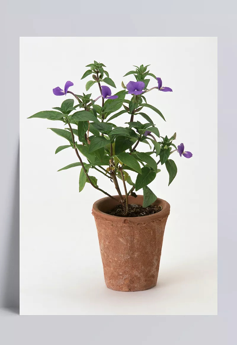 a771bc62bbec244b961596ae67c96f64e3137c40b3c4-UePI5p