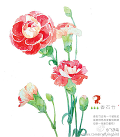 x虾i虾a采集到花