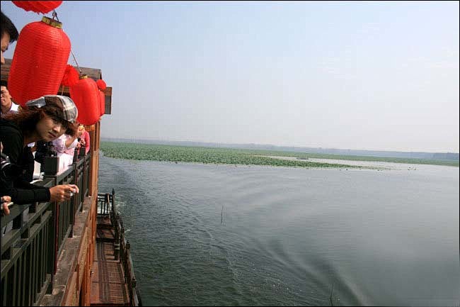 微山湖 自然生态最原始的湖区湿地(组图)