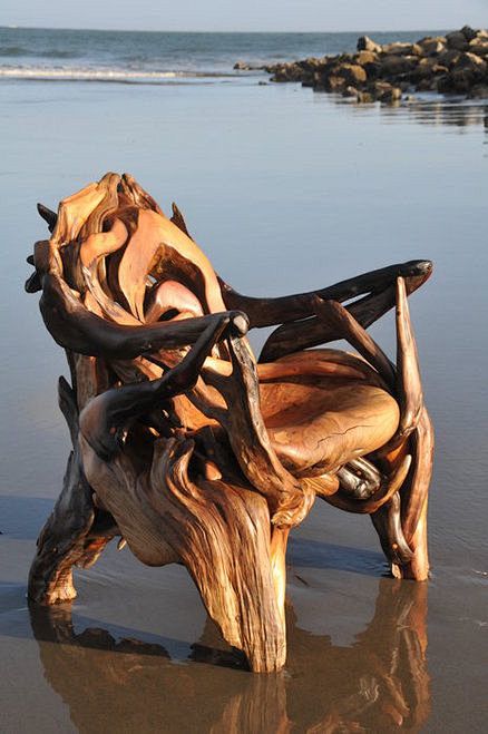 Driftwood chair - ju...