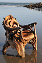 Driftwood chair - just... WOW: 