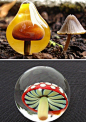 玻璃蘑菇