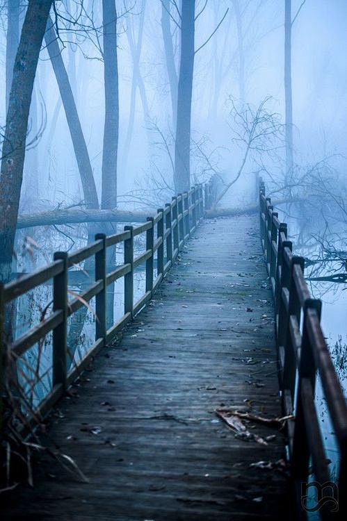  雾桥，托斯卡纳，意大利