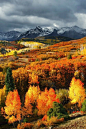 Autumn, Montana
photo via katie