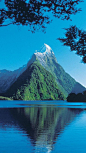 米尔福德峡湾，峡湾国家公园~南岛，新西兰

Milford Sound, Fiordland National Park ~ South Island, New Zealand