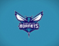 Charlotte Hornets primary logo : Updated primary logo for the NBA's Charlotte Hornets.