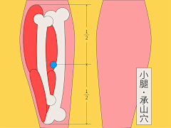 孙霄56采集到插话