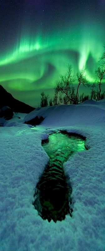 Aurora Borealis, Eve...