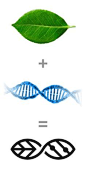 全天然能量饮料的标志设计，将自然与科学融合在一起。