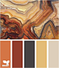 These are the colors for my living room dining room and kitchen