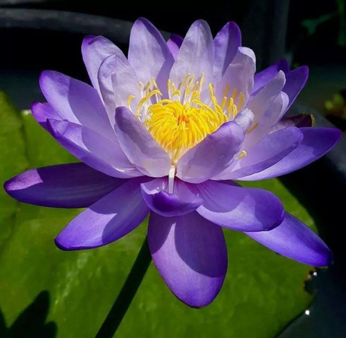 a810869e371c8373e6c3b8d762f515c5aa59060d11aed-O9s9zu