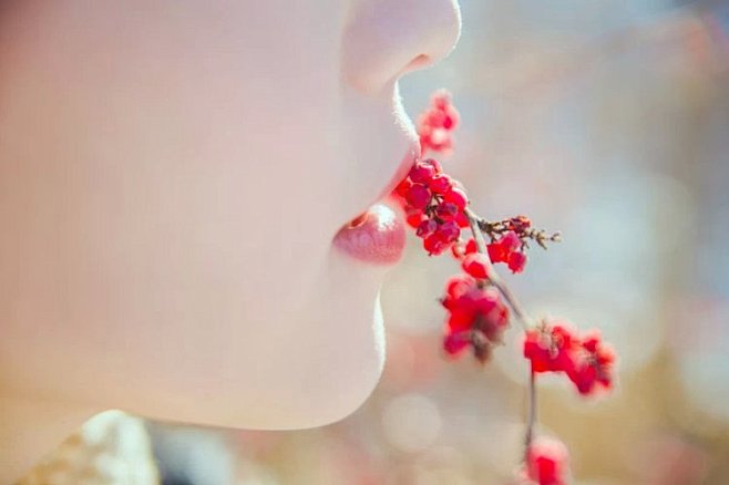 那一瓣飞雪的心事，还在气温骤降的季候里徘...