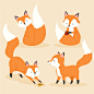 手绘可爱的狐狸卡通动物插画矢量图素材