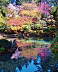 Japanese Garden, Portland, Oregon, USA。美国俄勒冈州波特兰日本花园，园内有五座花园，占地5.5英亩（约合33.4亩），是这城市西山上的一片恬静安乐之地。受日本神道教、佛教和道教思想的影响，设计者将石、水和植物这三种最重要的元素用于传统的日本园林：石是园之骨，水是园之脉，植物则是园林中四季美景的“艺术表演团”。在这里，您可观赏那一群群锦鲤，在天堂瀑布下的池塘中欢快地游动，为这美景又平添了几分生机。#美景##唯美# #美图# #风景# #小清新# #治愈系#自然#场景#