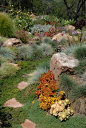 Low water landscape with a great mix of stone, succulents, grasses and perennial flowers