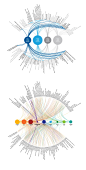 Data Visualization : Description & Solution
The challenge is to create a comprehensive and compelling information graphics that effectively categorizes each client's massive IP portfolio and visualizes the complex partnerships across different industr