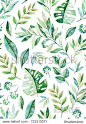 Watercolor leaves branch seamless pattern on white background. Texture with greens,branch,leaves,tropical leaves,foliage.Perfect for wedding,cover design,wallpapers,patterns,packaging etc