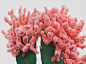 Towering Hyperrealistic Cactus Paintings by Lee Kwang-ho : Korean painter Kwang-ho Lee (previously) depicts larger-than-life cacti in oil paintings that stand up to 8-feet tall. Every thorn, bloom, and branch is painted with excruciating accuracy, bringin