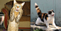 25 cats, who for his portrayal deserve Oscar