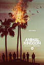 Mega Sized Movie Poster Image for Animal Kingdom (#1 of 3)