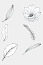 简笔画树叶花卉线条插画免抠素材-众图网