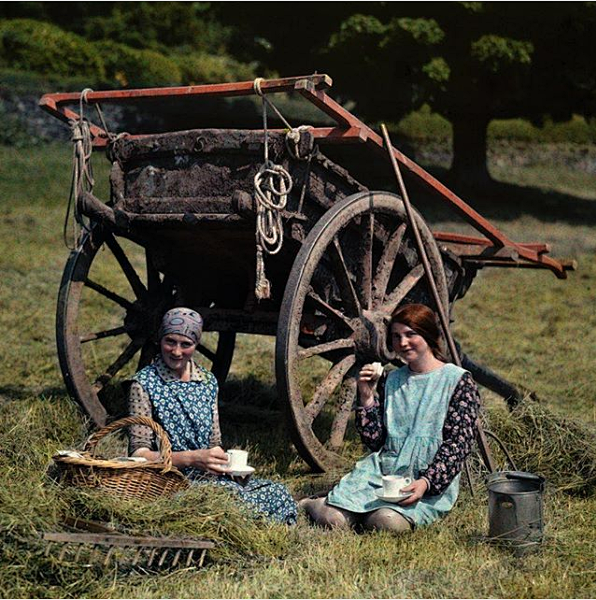 Nat Geo Image Collec...