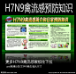 H7N9 禽流感大图 点击还原