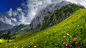 General 3840x2160 flowers nature landscape mountains