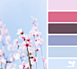 Design Seeds : Design Seeds color palettes ... posted daily for all who love color.