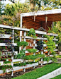 Amazing Small Space Garden: 