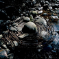 andy goldsworthy