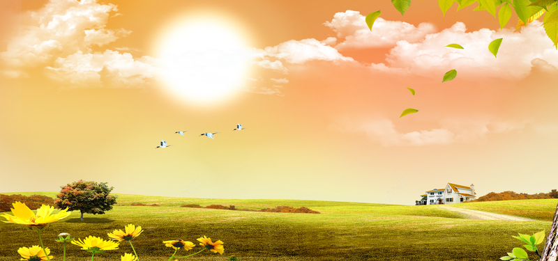 a8e31e6e416060b94579337bcdd8cdb5f999f19f404e6-mY6cmh