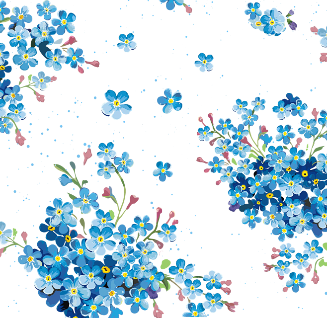 蓝色的花.png