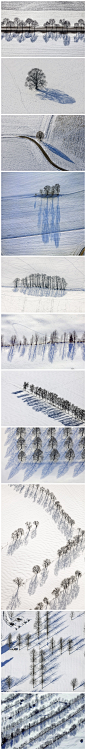 【蓄含诗意的蓝色倒影】@美奇网 这是空中摄影师Klaus Leidorf在德国拍摄到的鸟瞰照片，那些冬季树木树叶剥落凋零，却因为有阳光的照射而有了神奇的光景，单一的树的身影显得含蓄而富有诗意，成行成排则突然显得雄伟壮观。