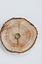 Tree Annual Ring Pictures | Download Free Images on Unsplash : Download the perfect tree annual ring pictures. Find over 100+ of the best free tree annual ring images. Free for commercial use ✓ No attribution required ✓ Copyright-free ✓