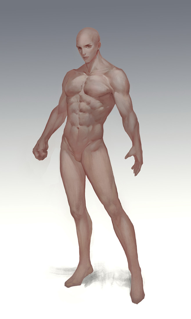 男人体模板1