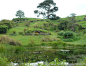 霍比特人村庄－新西兰图片24,新西兰旅游景点,风景名胜 - 蚂蜂窝图库 - 蚂蜂窝