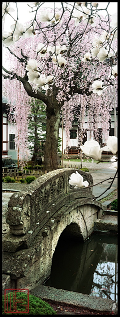 小鱼儿悠然采集到风景