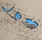 委内瑞拉艺术家Rafael Araujo的几何绘画作品欣赏 | Rafael Araujo没有使用科技产品辅助，仅单靠铅笔、尺、量角器就画出了大自然中的奥妙数学：蝴蝶起飞的方式，贝壳的螺旋生长比例…