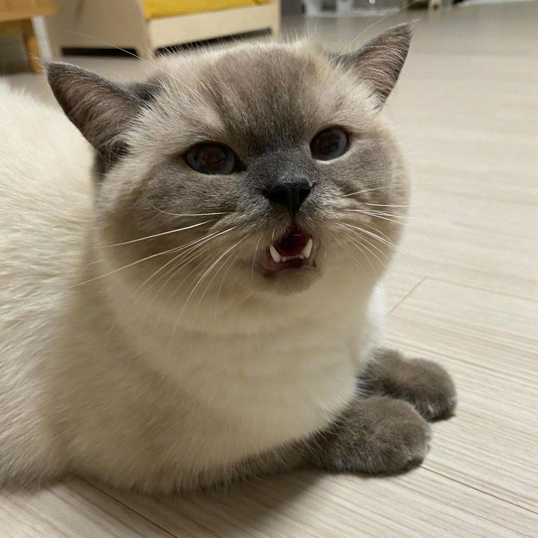 a947a0a77ea285bab36ecd8db6e816db73cda35531920-Zwl3Ax