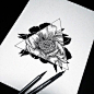 art, drawing, flowers, hipster, sketch, triangle: 