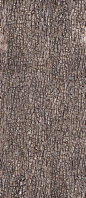 Bark Texture 1 by ~AGF81 on deviantART: 
