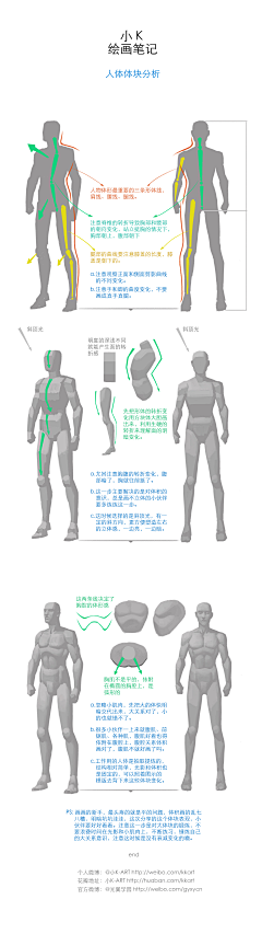 天秤座团子采集到人体结构