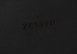 Zenith新西兰高级旅行包品牌设计 设计圈 展示 设计时代网-Powered by thinkdo3