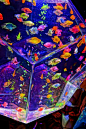 art aquarium 2012 by sugagaga, via Flickr