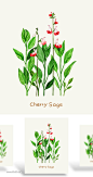 植物鲜花水草PSD素材_平面素材_乐分享-设计共享素材平台水彩植物