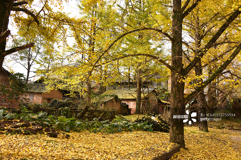 a96c17d0b3e0f24b27b0cf01c613799a9ab2d0516daa9-QbdV3I